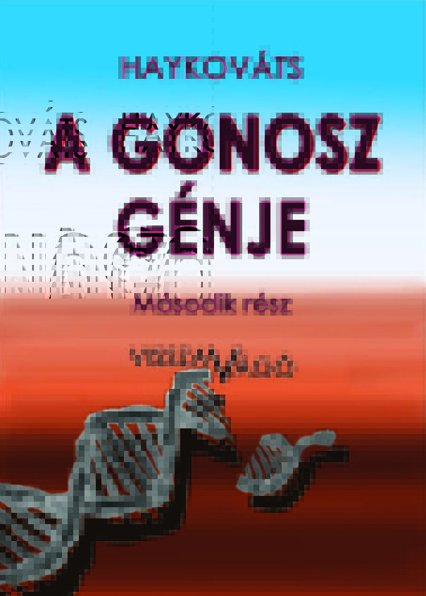 borito2